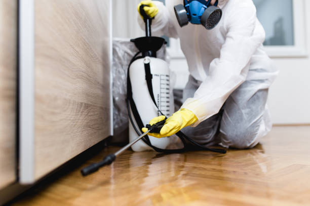 Best Emergency Pest Control  in St Vincent College, PA