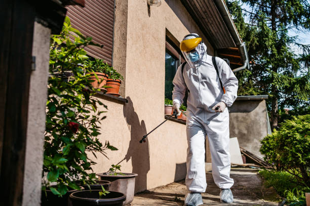 Best Ant Control Services  in St Vincent College, PA