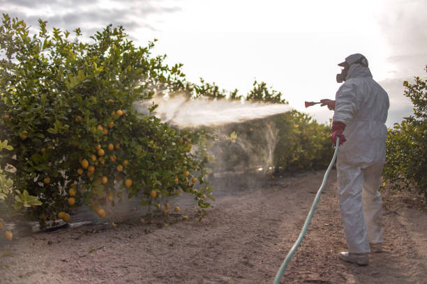Trusted St Vincent College, PA Pest Control Experts