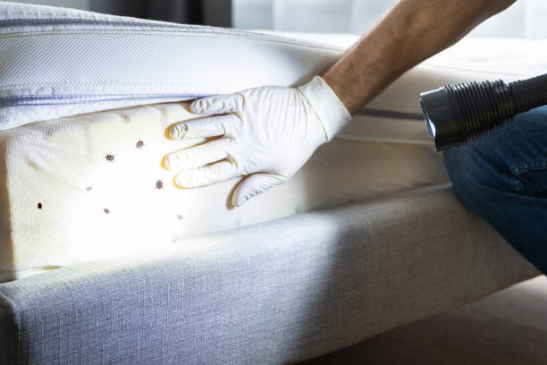 Best Commercial Pest Control Services  in St Vincent College, PA