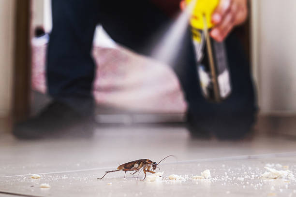 Best Mosquito Control Services  in St Vincent College, PA