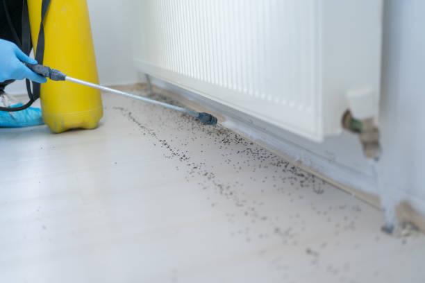 Best Pest Control Near Me  in St Vincent College, PA