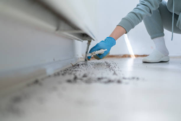 Best Insect Control  in St Vincent College, PA