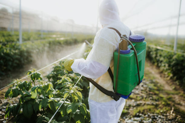 Best Cockroach Control Services  in St Vincent College, PA